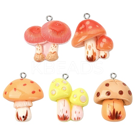 30Pcs 5 Styles Resin Pendants RESI-CJ0005-20-1