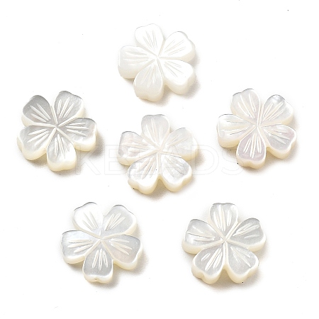 Natural White Shell Carved Beads SSHEL-Z002-02A-1