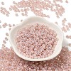 Glass Seed Beads SEED-H002-H-1310-2