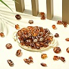 75Pcs 15 Styles Imitation Amber Transparent Acrylic Beads DIY-YW0010-22-5