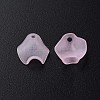 Transparent Acrylic Beads LS-X-MACR-S373-106-D05-3