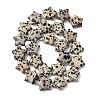Natural Dalmatian Jasper Beads Strands G-K359-E12-5