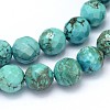 Natural Howlite Beads Strands TURQ-P027-42-2