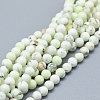 Natural Australian Turquoise(Jasper) Beads Strands G-D0010-06A-4mm-1