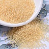 MIYUKI Round Rocailles Beads SEED-JP0008-RR0201-1
