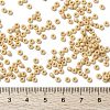 MIYUKI Round Rocailles Beads X-SEED-G008-RR0493-4