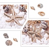   Trendy Starfish and Conch Bib Necklaces NJEW-PH0001-16G-3