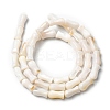 Natural Freshwater Shell Beads Strands SHEL-K006-08-4