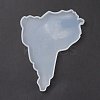 Map Silicone Coasters Molds DIY-O019-02-3