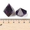 6Pcs Natural Amethyst Home Display Decorations G-L614-B01-3