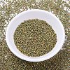 MIYUKI Delica Beads SEED-MY11-DB0508-2