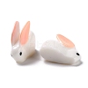 Rabbit Plastic Display Ornaments DJEW-C004-02-5