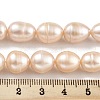 Natural Cultured Freshwater Pearl Beads Strands PEAR-P062-12A-X-5