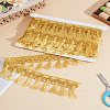 12M Filigree Polyester Lace Fringe Trim OCOR-LP0002-08-1