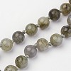 Labradorite Beaded and Gemstone Beaded Necklaces NJEW-P148-02-5