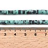 Dyed Synthetic Turquoise Beads Strands G-Z089-A04-H-6