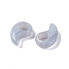 Natural Blue Lace Agate  European Beads G-M441-05-2