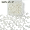 50G Natural Quartz Crystal Chip Beads G-YW0001-78-2