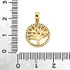 Brass Micro Pave Cubic Zirconia Pendants LS-KK-R227-02G-3