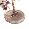 Natural Gemstone Chips & Agate Pedestal Display Decorations DJEW-A001-04G-4
