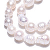 Natural Baroque Pearl Keshi Pearl Beads Strands PEAR-S020-F04-01-5