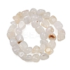 Natural Agate Beads Strands G-L630-F01-01I-3