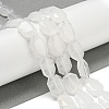 Natural Quartz Crystal Beads Strands G-P544-B11-01-2