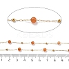 Natural Red Aventurine & 304 Stainless Steel Beads Link Chains CHS-K021-08A-05-3