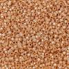MIYUKI Round Rocailles Beads X-SEED-G008-RR0580-3