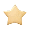 304 Stainless Steel Pendants STAS-L238-108B-G-1