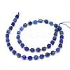 Natural Lapis Lazuli Beads Strands G-O201B-25-2