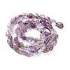 Natural Purple Phantom Quartz Purple Lodolite Quartz Beads Strands G-P497-01C-32-3