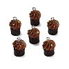 Opaque Resin Imitation Food Pendants RE-CBAF169-07B-2