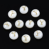 Natural Freshwater Shell Beads SHEL-S278-036Y-1