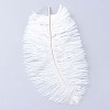 Ostrich Feather Costume Accessories FIND-ZX005-11C-1
