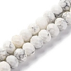 Natural Howlite Beads Strands G-K380-A10-01-1