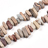 Natural Aqua Terra Jasper Beads Strands G-T140-64-4
