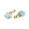 Natural Amazonite Charms G-N326-142-08-3
