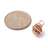 Natural Rudraksha Copper Wire Wrapped Pendants PALLOY-JF02068-01-4