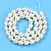 Natural Cultured Freshwater Pearl Beads Strands PEAR-N012-05Z-01-3