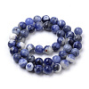 Natural South Africa Sodalite Beads Strands X-G-S259-35-10mm-3