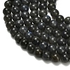 Natural Black Labradorite Beads Strands G-L642-B15-6mm-4