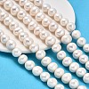 Natural Cultured Freshwater Pearl Beads Strands PEAR-I007-07S-01A-1
