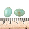 Natural African Turquoise(Jasper) Cabochons X-G-S398-02C-3
