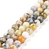 Natural African Opal Beads Strands G-B048-B03-02-1
