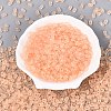 FGB Frosted Transparent Glass Seed Beads SEED-N013-06A-03-2
