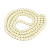 Baking Paint Glass Pearl Beads Strands DGLA-ZX001-05A-04-2