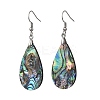 Teardrop Natural Paua Shell Dangle Earrings for Women EJEW-JE07135-3