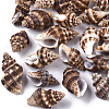 Natural Spiral Shell Beads SSHEL-S258-87-1