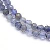 Natural Cordierite/Iolite/Dichroite Beads Strands G-E411-39-2mm-3